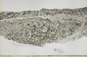 Plane Polarized, S50395