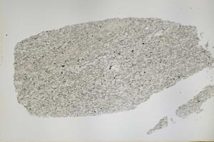 Plane Polarized, S50403