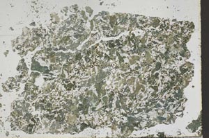 Plane Polarized, S50411