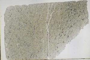Plane Polarized, S50417