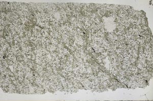 Plane Polarized, S50422