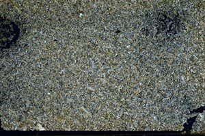 Cross Polarized, S50426/A