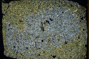 Cross Polarized, S50432/A