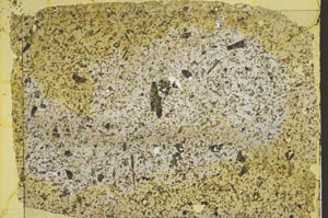 Plane Polarized, S50432/A