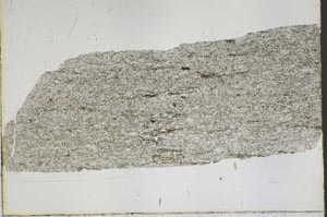 Plane Polarized, S50442