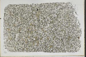 Plane Polarized, S50448