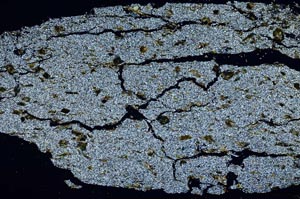 Cross Polarized, S50449