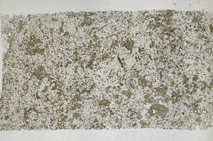 Plane Polarized, S50452