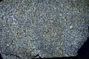 Cross Polarized, S50456/A