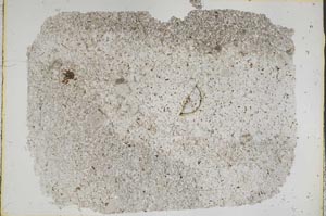 Plane Polarized, S50458