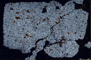 Cross Polarized, S50473/A