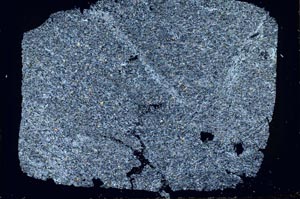 Cross Polarized, S50476/A