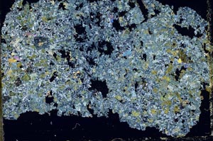 Cross Polarized, S50478