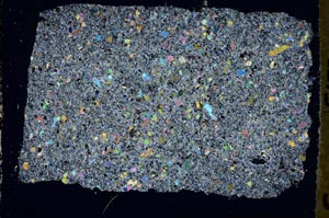 Cross Polarized, S50479