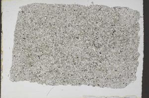 Plane Polarized, S50479