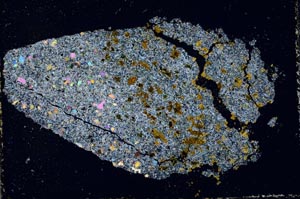 Cross Polarized, S50479/A