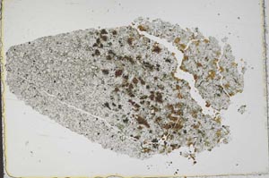 Plane Polarized, S50479/A