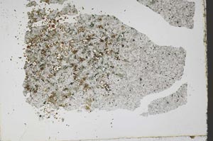 Plane Polarized, S50479/B