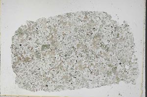 Plane Polarized, S50480