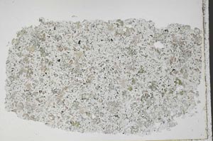 Plane Polarized, S50480/A