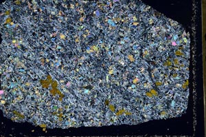 Cross Polarized, S50481