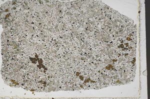 Plane Polarized, S50481