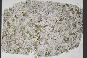 Plane Polarized, S50481/A