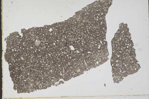 Plane Polarized, S50482