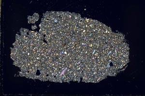 Cross Polarized, S50482/A