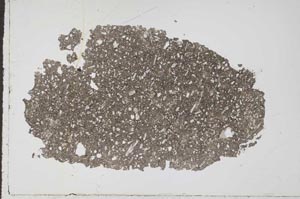 Plane Polarized, S50482/A