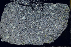 Cross Polarized, S50483