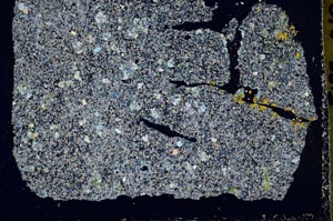 Cross Polarized, S50483/A