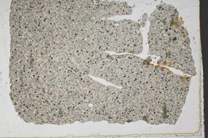 Plane Polarized, S50483/A