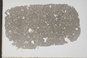 Plane Polarized, S50484