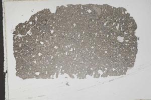 Plane Polarized, S50484/A