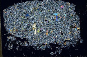 Cross Polarized, S50486