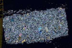 Cross Polarized, S50486/A