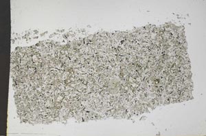 Plane Polarized, S50486/A