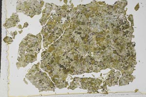 Plane Polarized, S50487