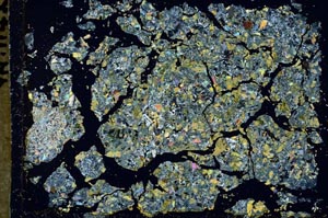 Cross Polarized, S50487/A