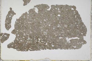 Plane Polarized, S50488