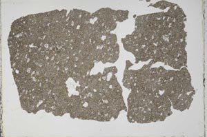 Plane Polarized, S50488/A