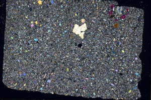 Cross Polarized, S50489