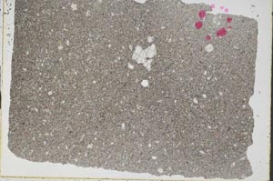 Plane Polarized, S50489