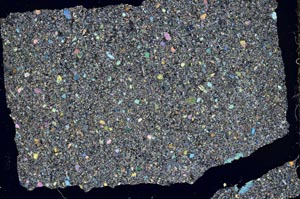 Cross Polarized, S50489/A