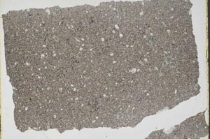 Plane Polarized, S50489/A