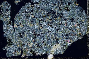 Cross Polarized, S50491