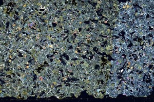 Cross Polarized, S50491/A