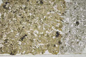 Plane Polarized, S50491/A