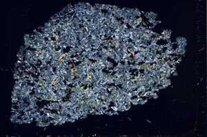 Cross Polarized, S50491/B